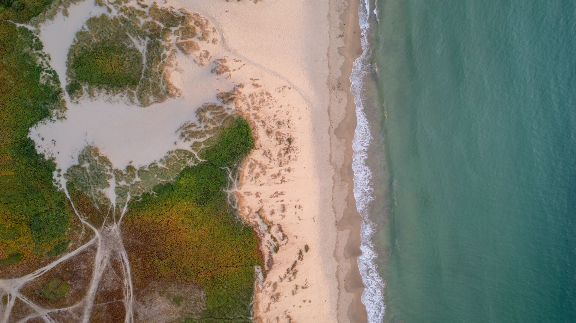 Overhead drone shot of beach in Comporta, Portugal.